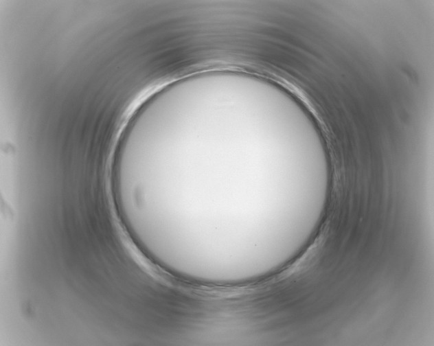 X0000091231034200708091110