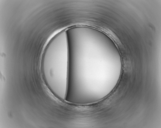 X0000091231036200708091110