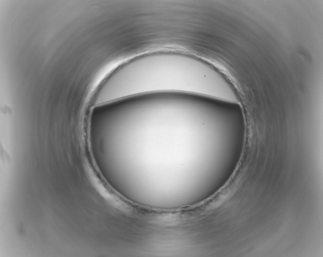 X0000091231038200708091110