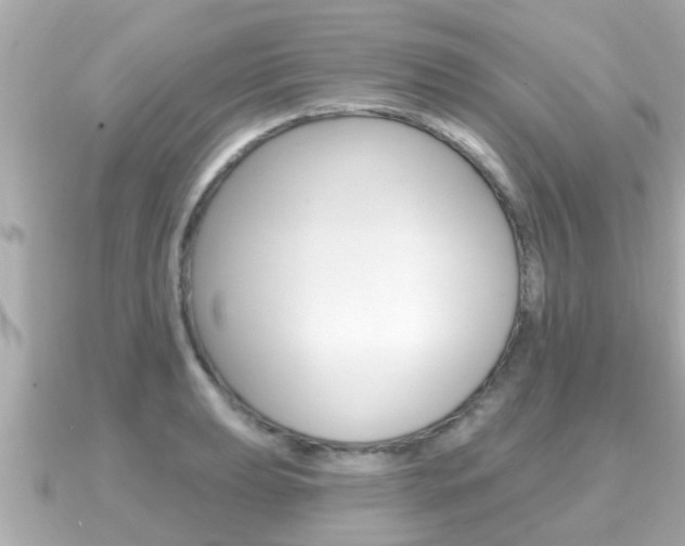 X0000091231039200708091110