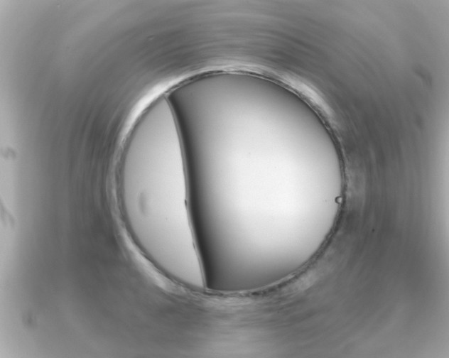 X0000091231040200708091110