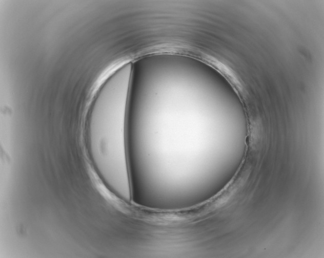X0000091231042200708091110