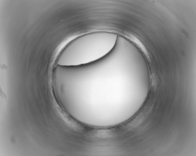 X0000091231043200708091110
