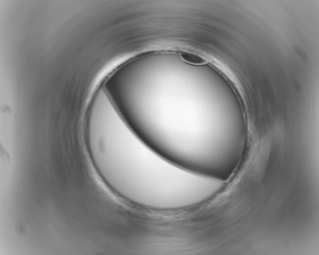 X0000091231045200708091110