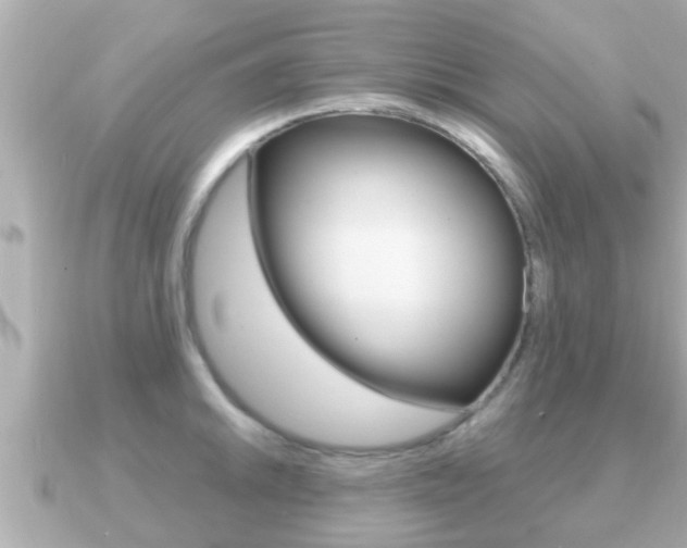 X0000091231046200708091110