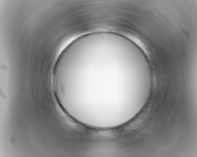X0000091231047200708091110