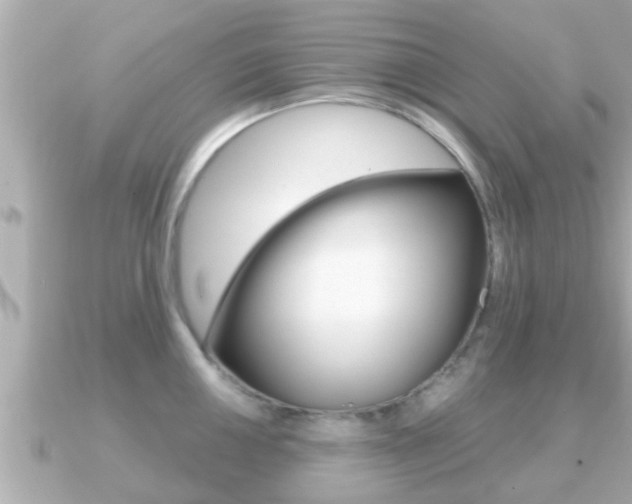 X0000091231050200708091110