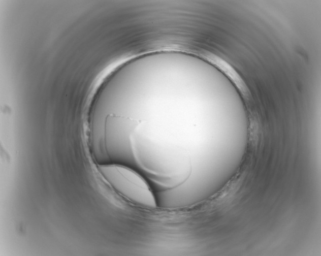 X0000091231051200708091110
