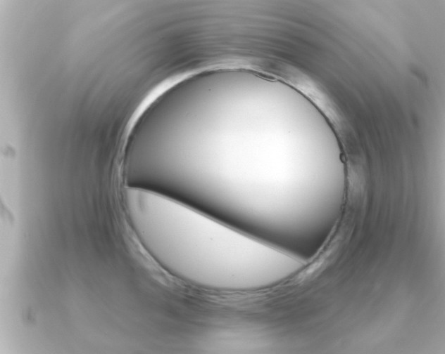 X0000091231052200708091110