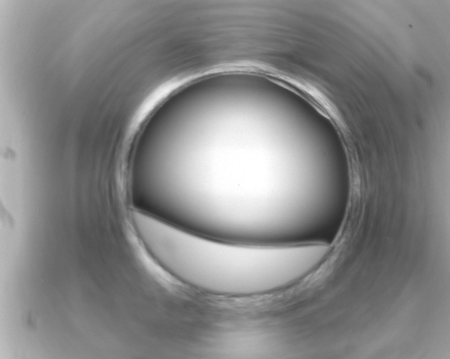 X0000091231054200708091110