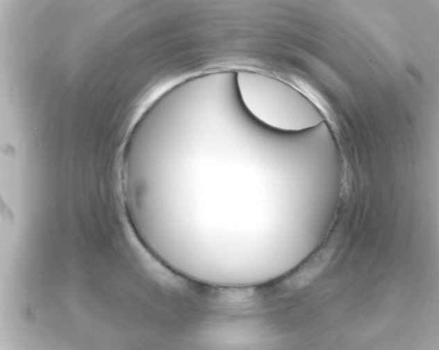 X0000091231055200708091110