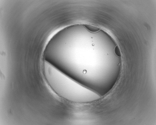 X0000091231056200708091110