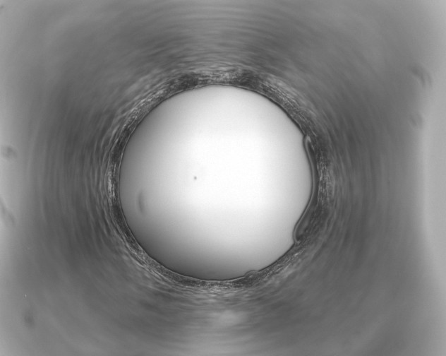 X0000091231058200708091109