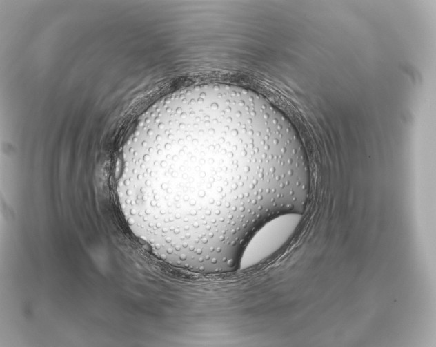 X0000091231059200708091109