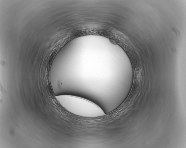 X0000091231060200708091109