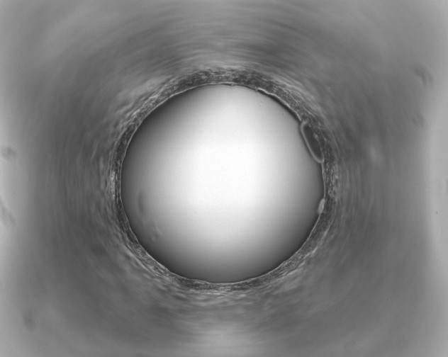 X0000091231061200708091109