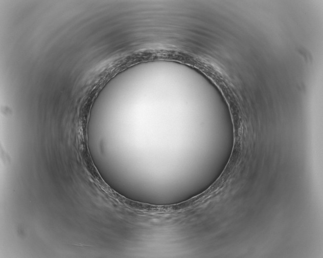 X0000091231062200708091109