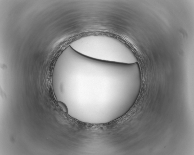 X0000091231063200708091109