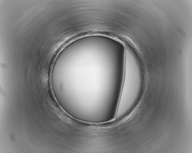 X0000091231065200708091109