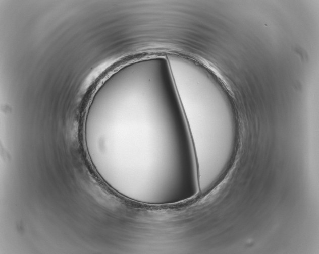 X0000091231066200708091109