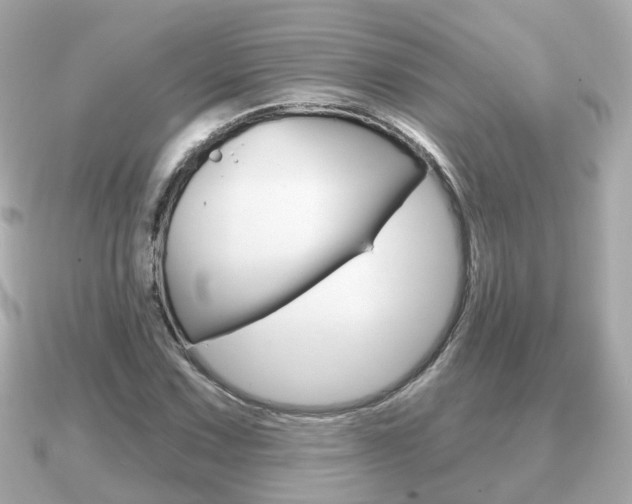 X0000091231067200708091109