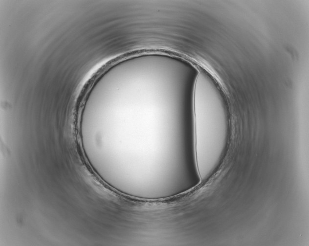 X0000091231068200708091109