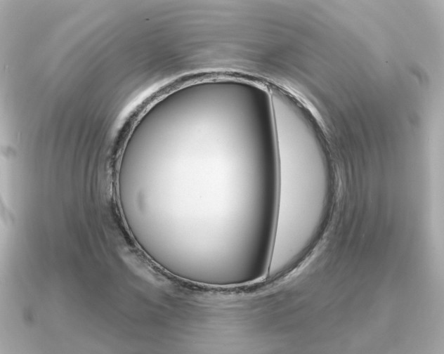 X0000091231069200708091109