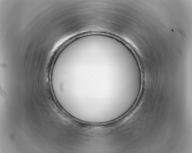 X0000091231070200708091109