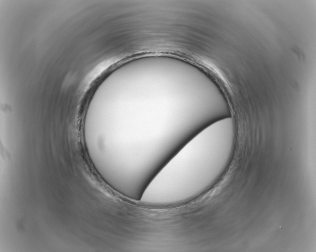 X0000091231071200708091109