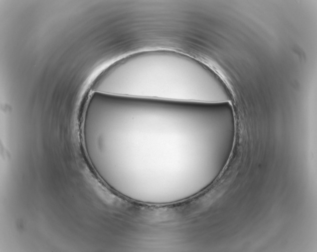 X0000091231072200708091109