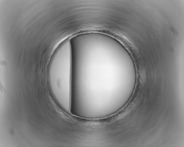 X0000091231073200708091109