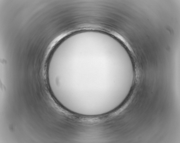X0000091231074200708091109
