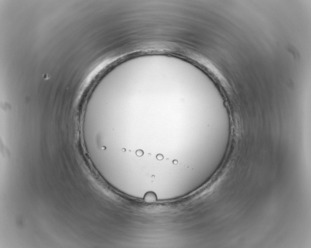 X0000091231075200708091109