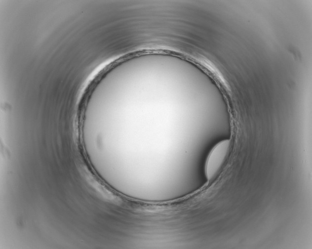 X0000091231076200708091109