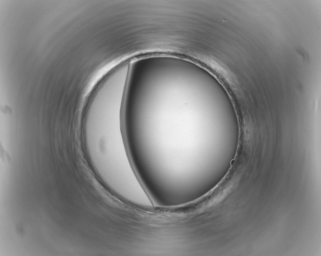 X0000091231077200708091109