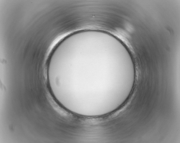 X0000091231078200708091109