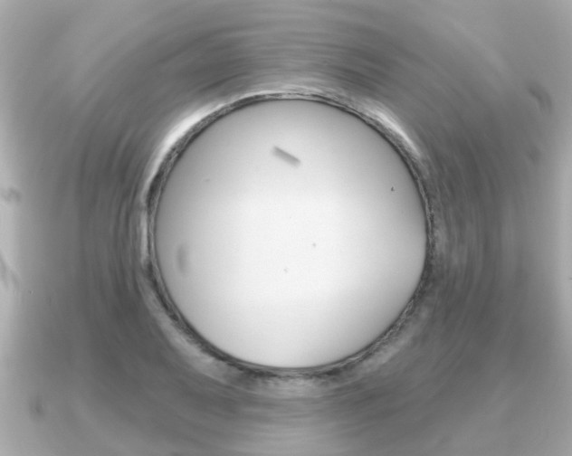 X0000091231079200708091109