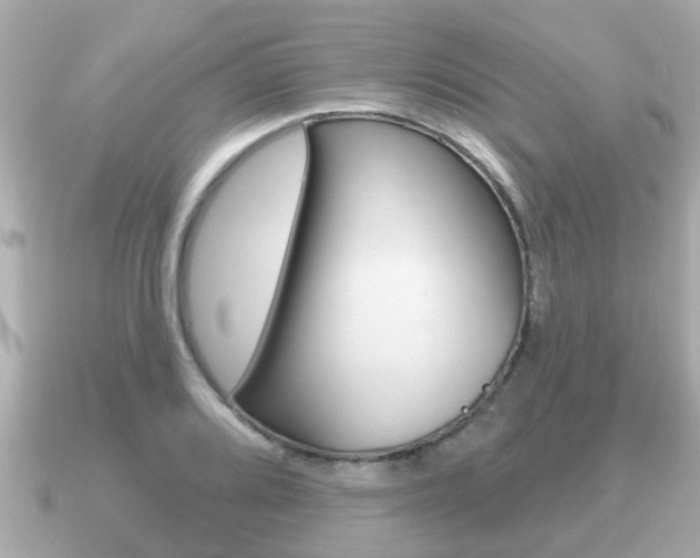 X0000091231080200708091109