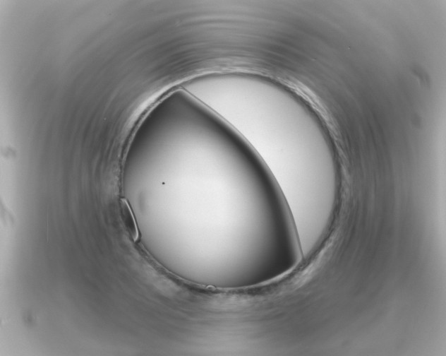 X0000091231081200708091109
