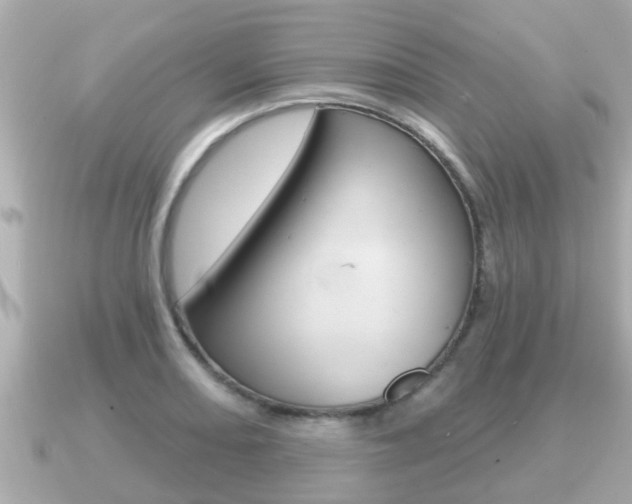 X0000091231082200708091109