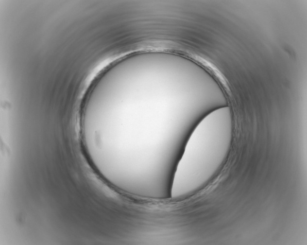 X0000091231083200708091109