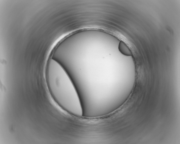 X0000091231084200708091109