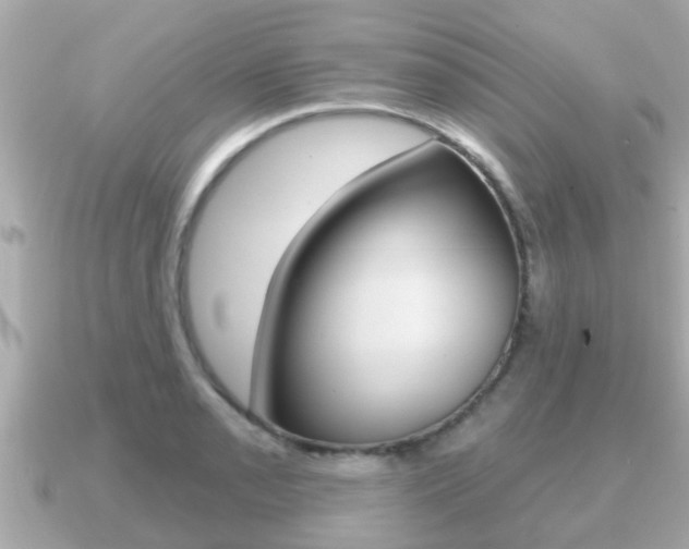 X0000091231085200708091109
