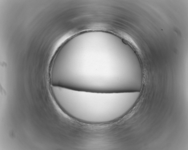 X0000091231087200708091109