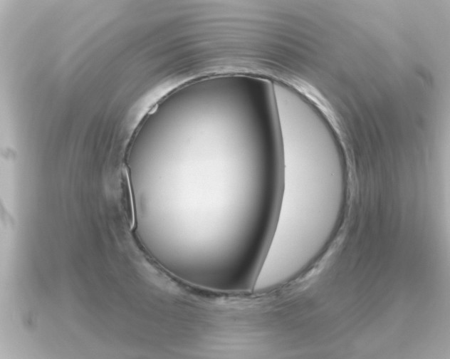 X0000091231089200708091109