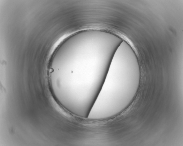 X0000091231091200708091109