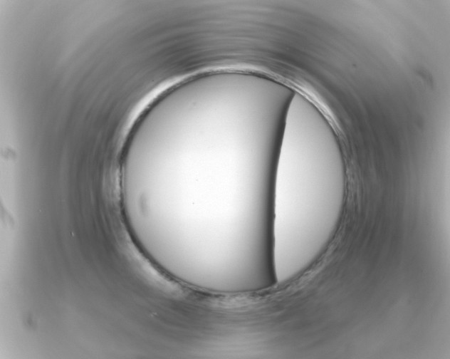 X0000091231092200708091109
