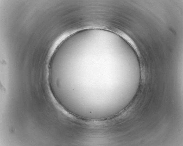 X0000091231096200708091109