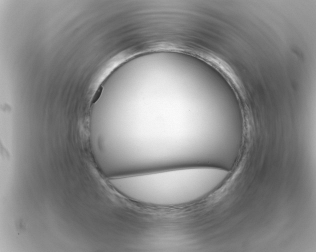 X0000091231097200708091109