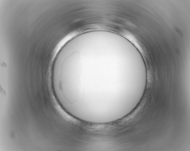 X0000091231098200708091109